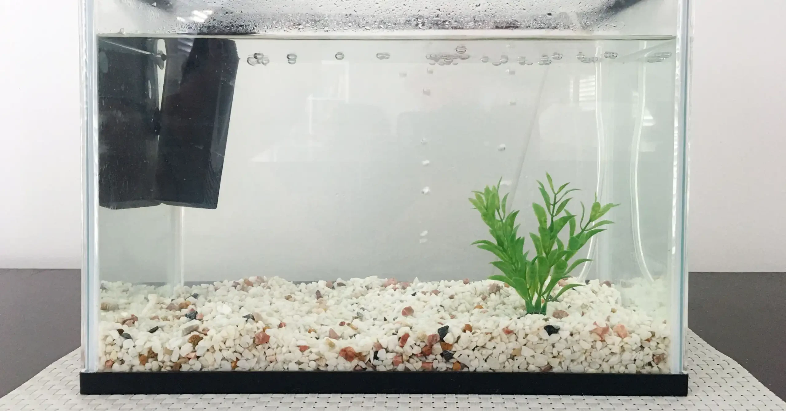 Quarantine Tank for Fish