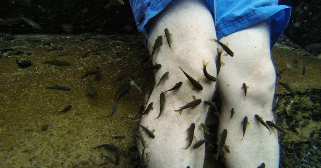 person's feet submerged in a spa or tank of Doctor Fish.
